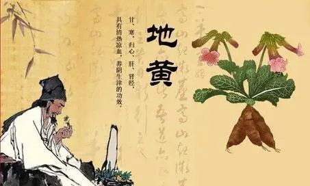 帶你走進地黃的前世